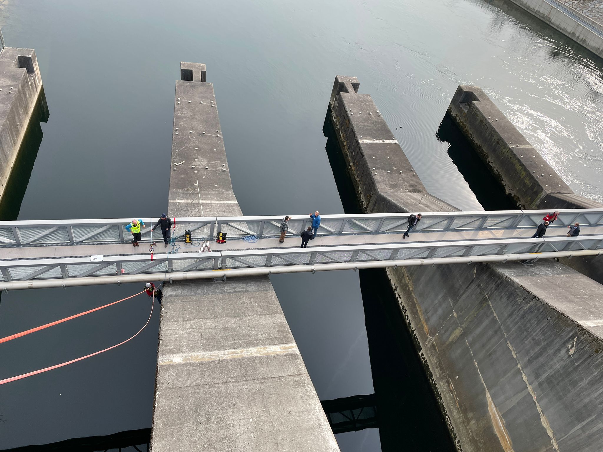 WhatsApp Image 2022-03-29 at 10.03.49 (1)